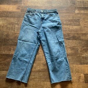 Wild Fable high-rise Skater wide leg full length denim jeans